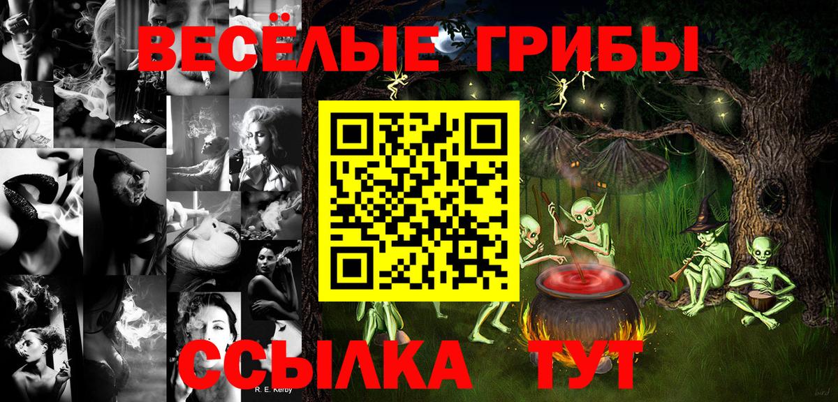 Галлюциногенные грибы Psilocybe  цена   Малоярославец  Вход с VPN 