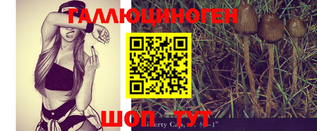 Галлюциногенные грибы Cubensis Малоярославец